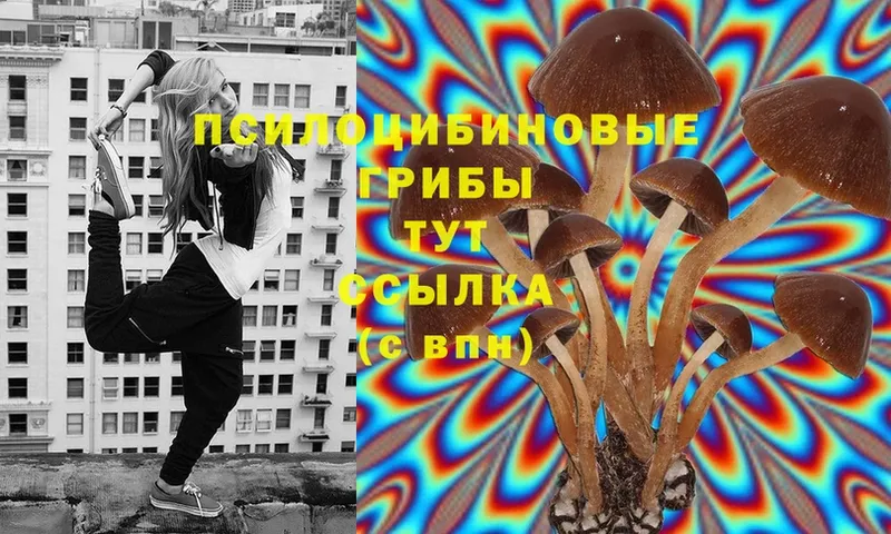 Галлюциногенные грибы Magic Shrooms  где найти   Артёмовск 